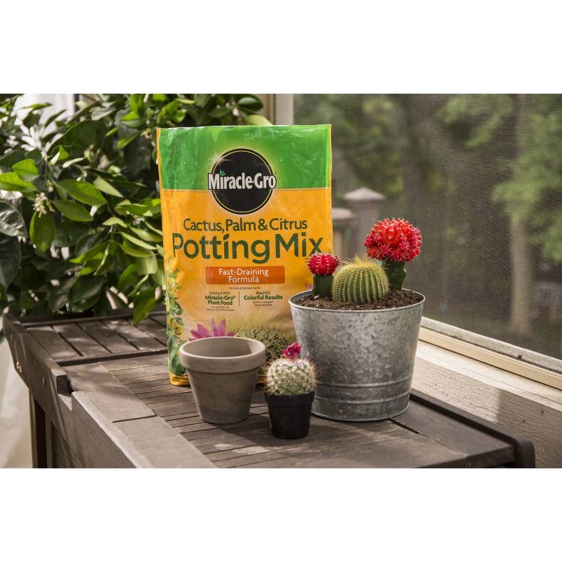 Miracle-Gro Cactus Palm Citrus Potting Soil - 8qt