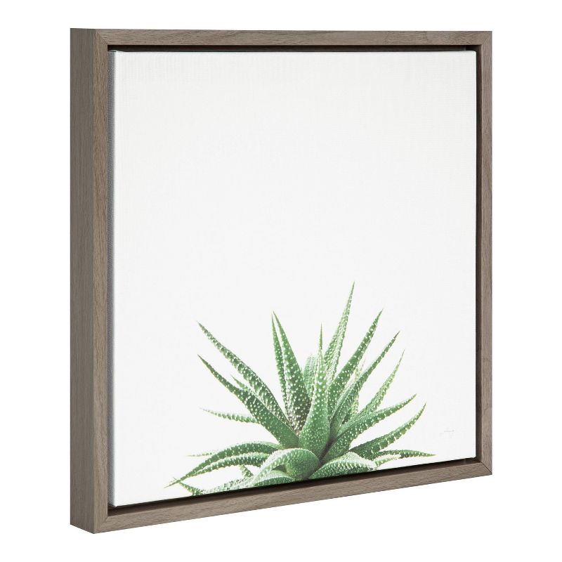 16" x 16" Succulent Simplicity I Neutral Framed Canvas Wall Art - Amanti Art