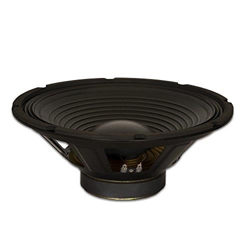 Goldwood Sound GW-1238/PA Pro 12" Woofer 30oz Magnet 240 Watts Replacement Speaker