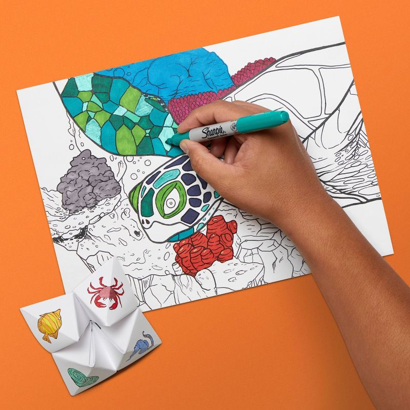 38ct Sharpie Permanent Marker Set with 6 Bonus Activity Pages