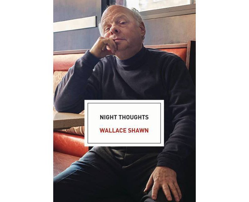 Night Thoughts - by  Wallace Shawn (Paperback)