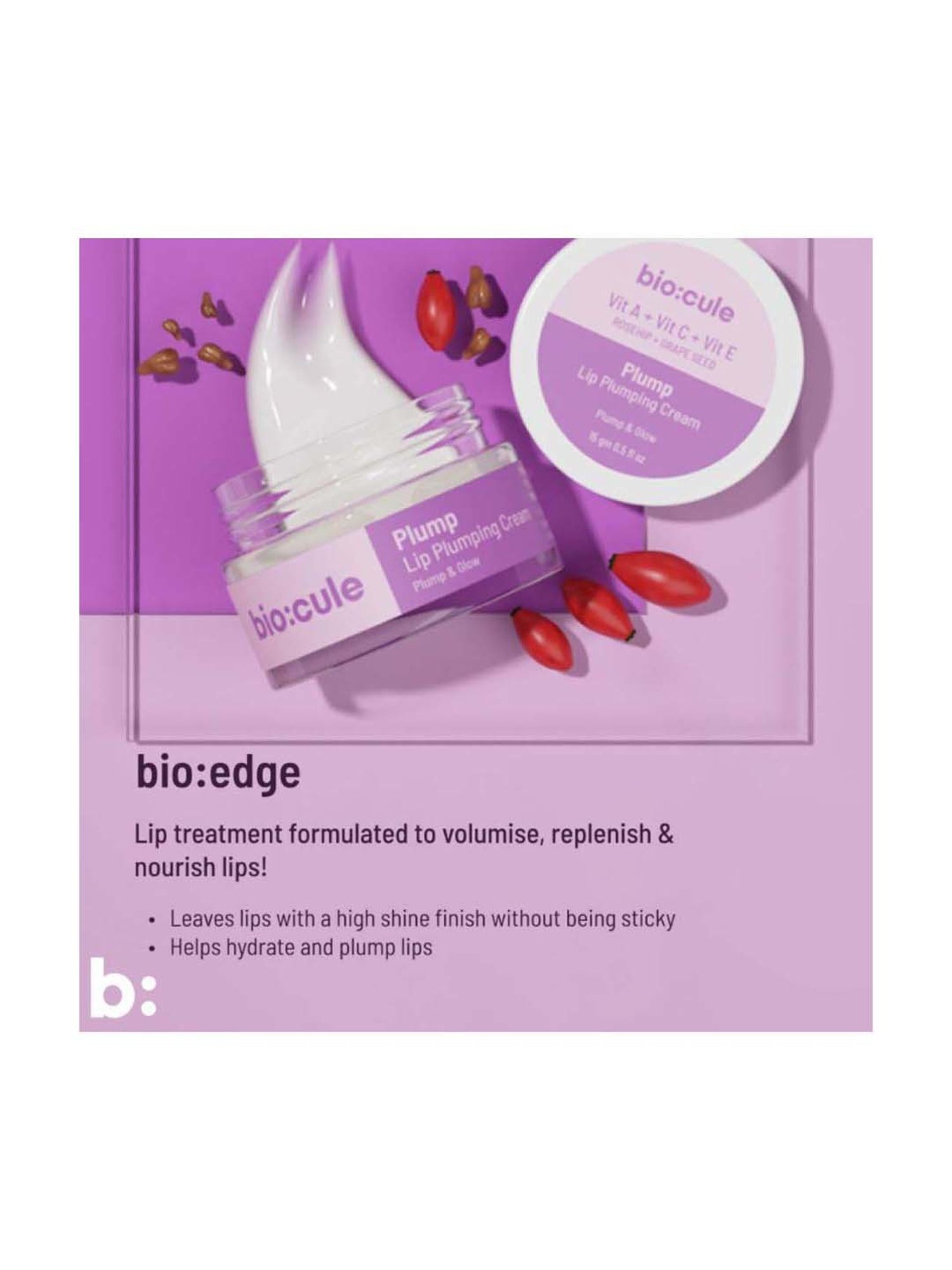Biocule Vitamin C+A+E Roseship Lip Plumping Cream - 15 gm