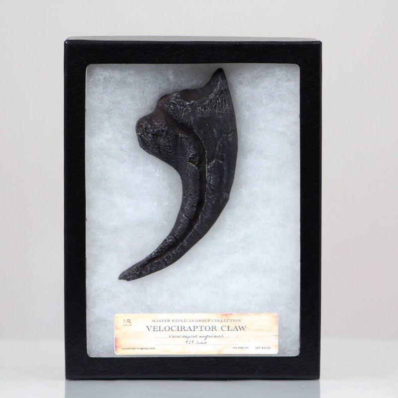 Master Replicas Velociraptor Claw Resin Fossil Replica