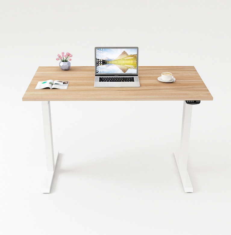 Electric Gaming Computer Desk Home Office Desk Height Adjustable Standing Desk With Dual German OKIN Motor White 47.2"Lx23.6"Wx28.3''-48''H