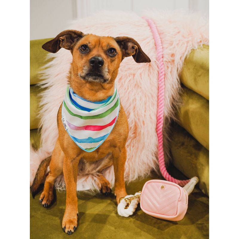 Cat Litter Box Drawstring Liners - Large - up & up™