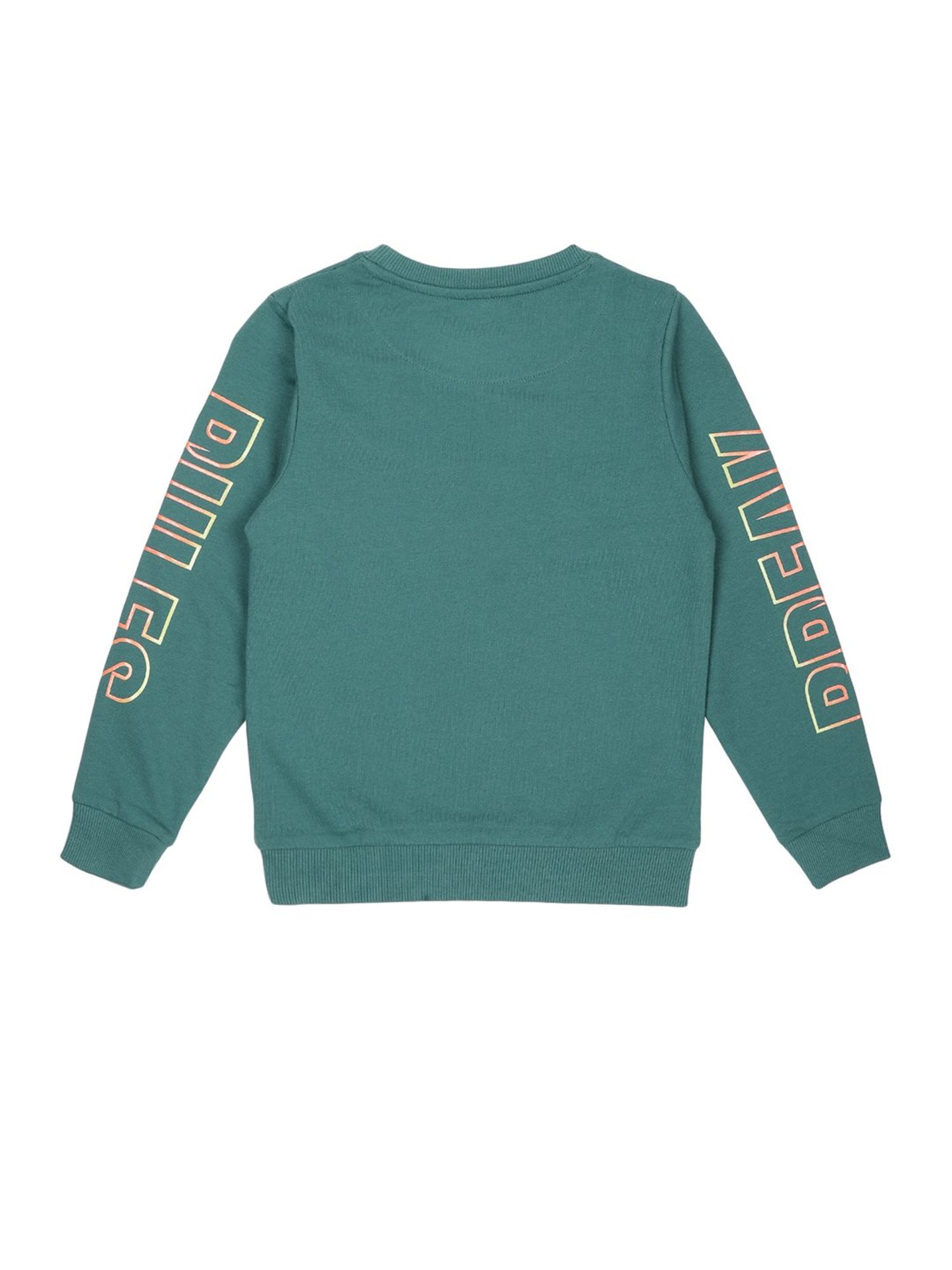 Plum Tree Kids Teal Graphic Print Full Sleeves Sweatshirt