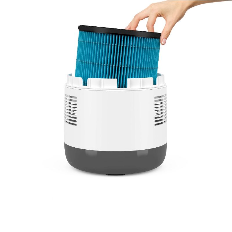 18ct Facial Tissues 'Best Day Ever' - Bullseye's Playground™