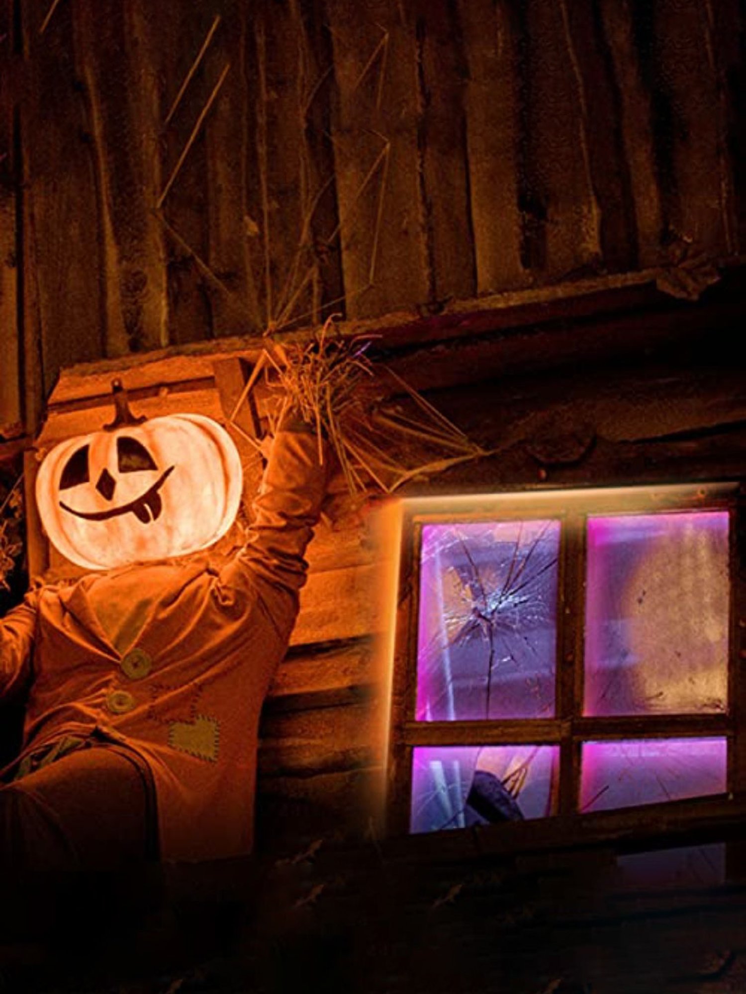 TP-Link Tapo L920-5 Smart LED Light Strip, 16million RGB Colors, Sync-to-Sound (16.4ft, Multicolor)