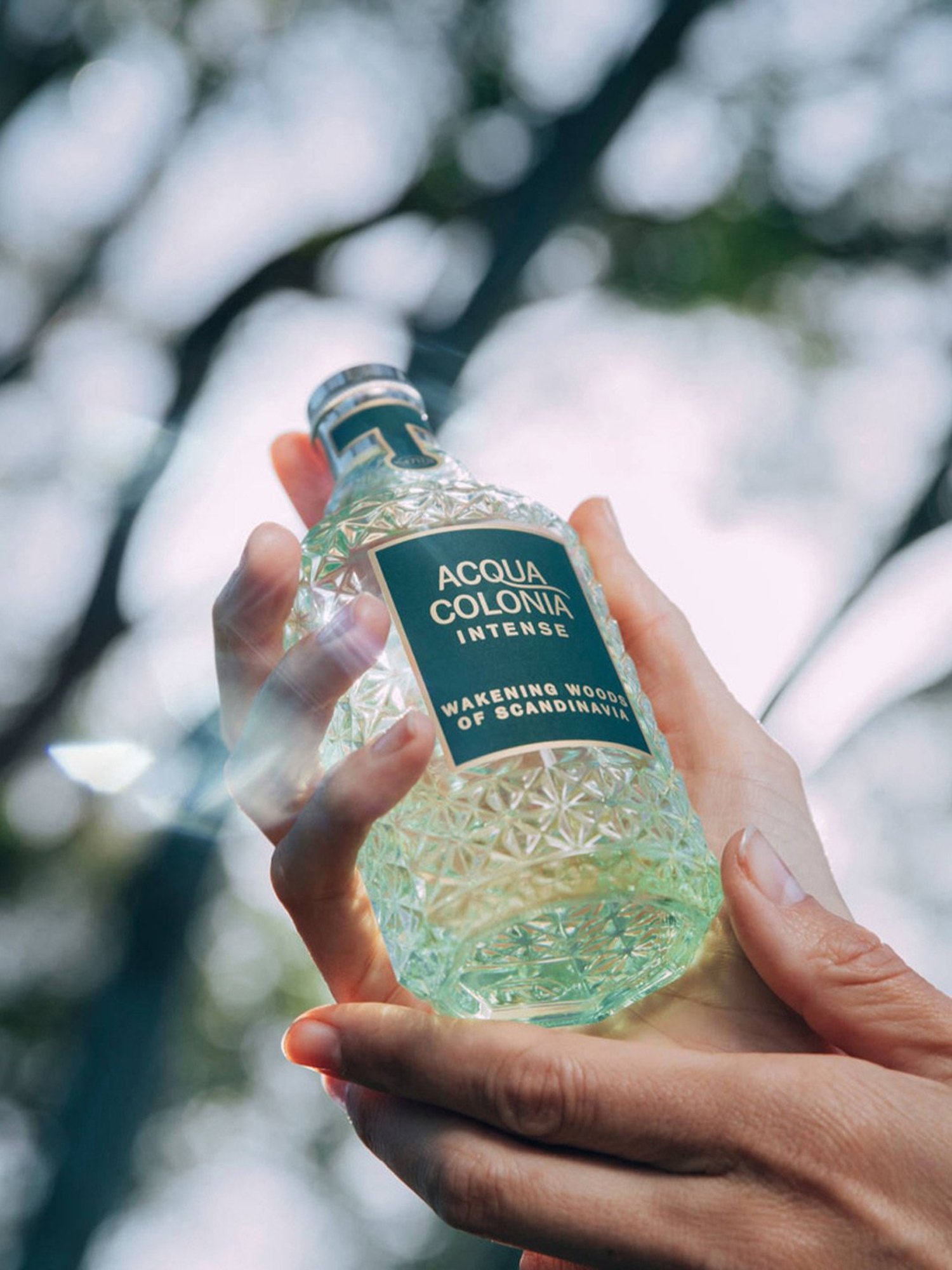 4711 Acqua Colonia Intense Wakening Woods Of Scandinavia Eau de Cologne - 170 ml