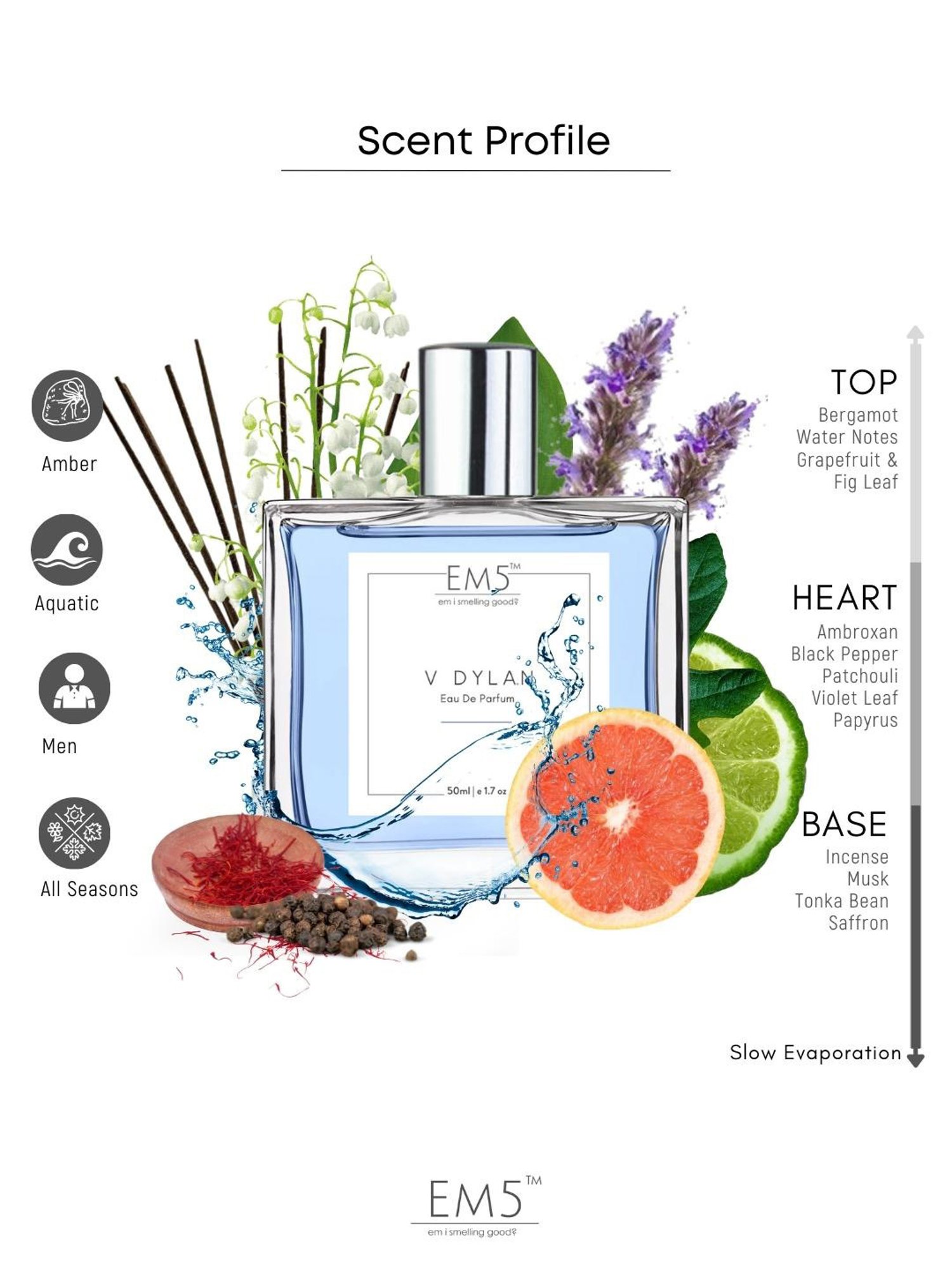 EM5 V Dylan Eau de Parfum for Men - 50 ml