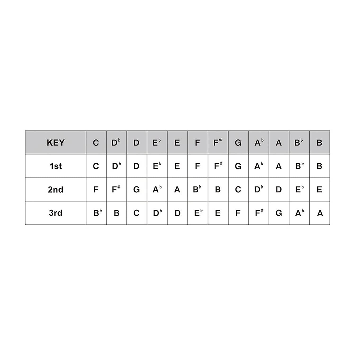 Suzuki-Promaster-Hammond-A