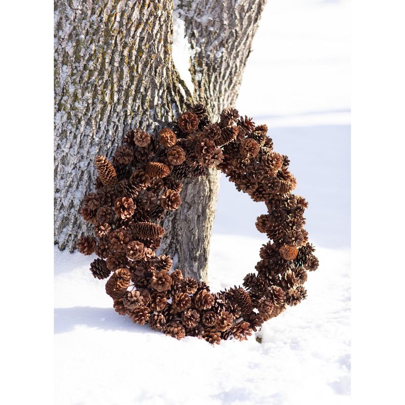 Northlight Frosted Pine Cone and Foliage Artificial Christmas Twig Wreath - 15 Inch, Unlit