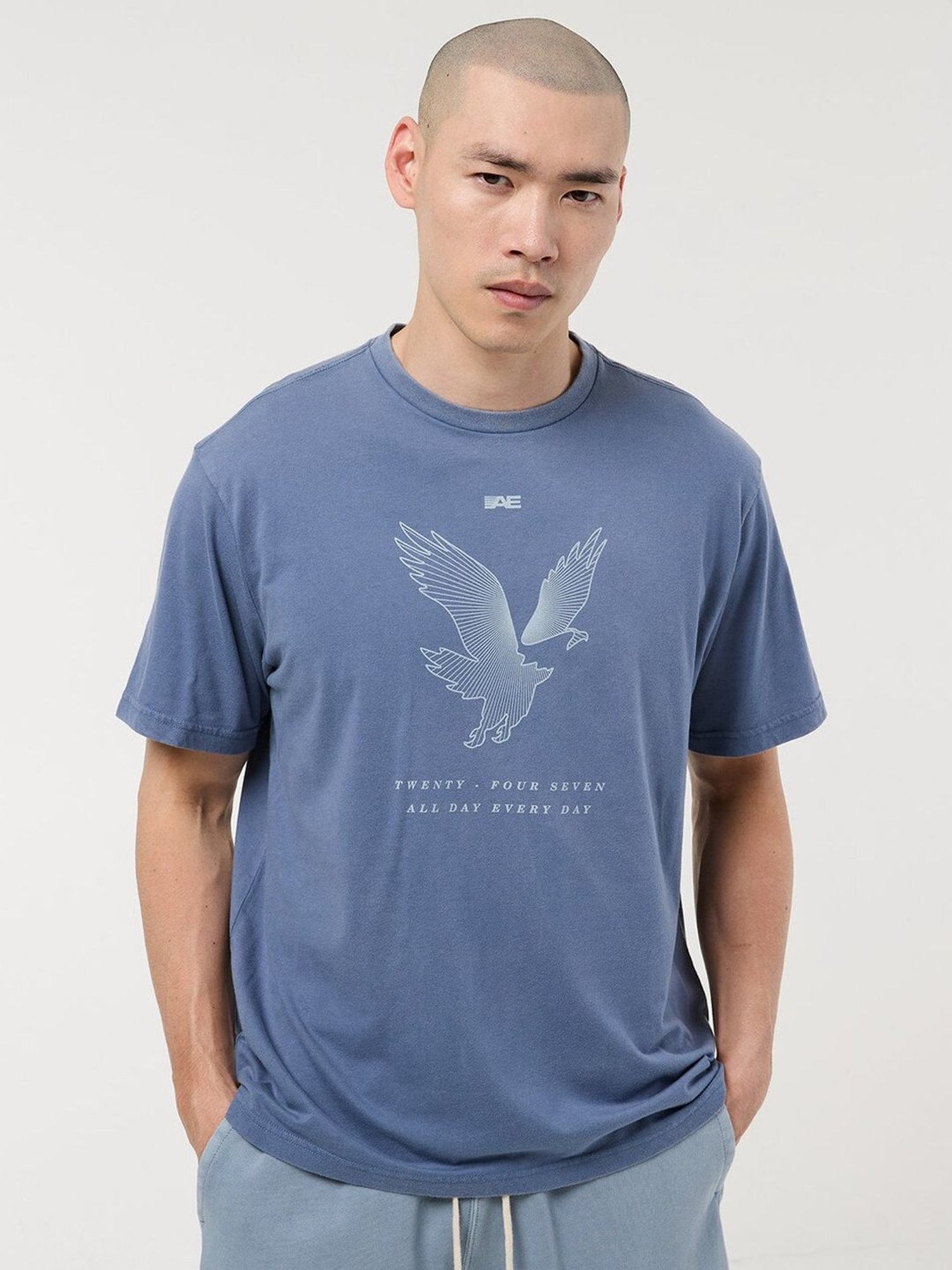 American Eagle Blue Regular Fit Printed T-Shirt