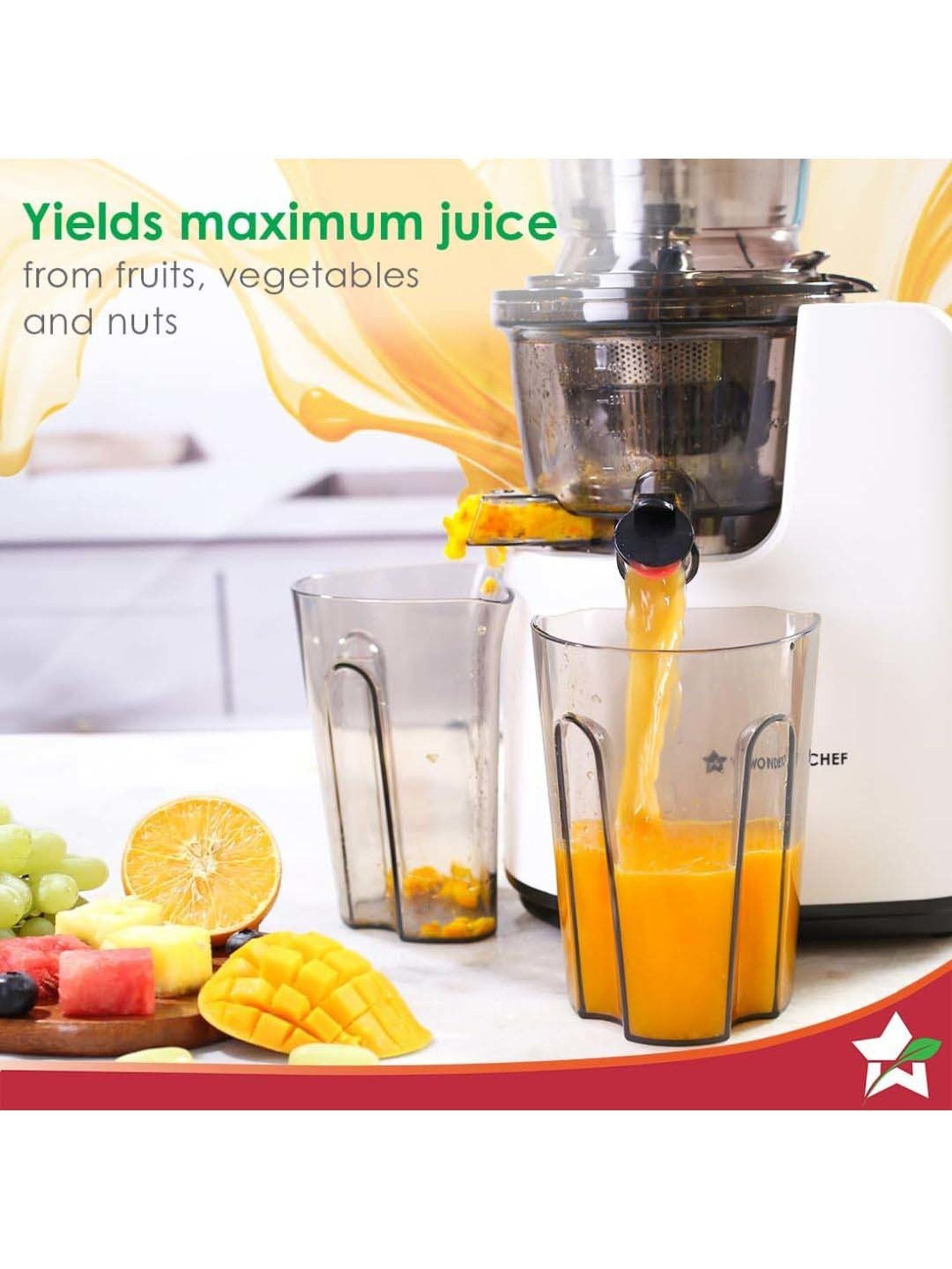 Wonderchef Regenta 55 RPM Full All-in-1 Fruit & Vegetable Juicer | (240W, White)