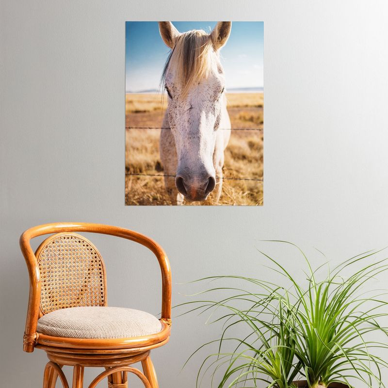 Bethany Young Photography West Texas Wild Poster- 18" x 24" - Society6