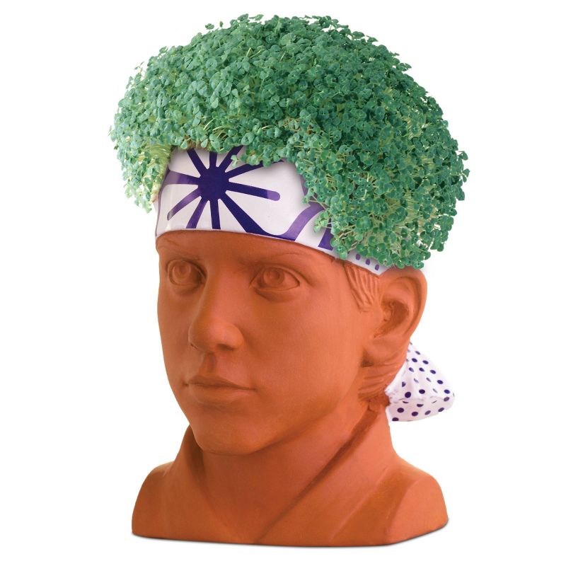 Chia Pet - Karate Kid Daniel
