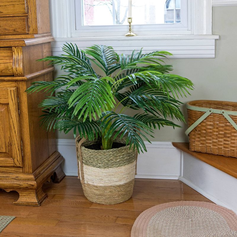 42" x 28" Artificial Palm Plant in Basket - LCG Florals