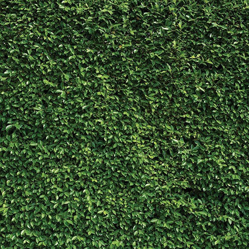 8X8ft Green Leaves Backdrop Grass Backdrop Natural Green Lawn Party Photography Backdrop Birthday Newborn Baby Lover Wedding Photo Studio Props 10923