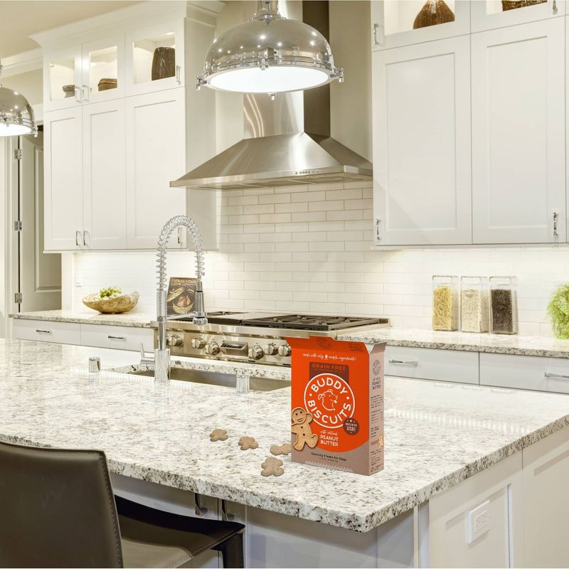 Buddy Biscuits Grain-Free Oven baked Treats with Peanut Butter Dry Dog Treats - 14oz