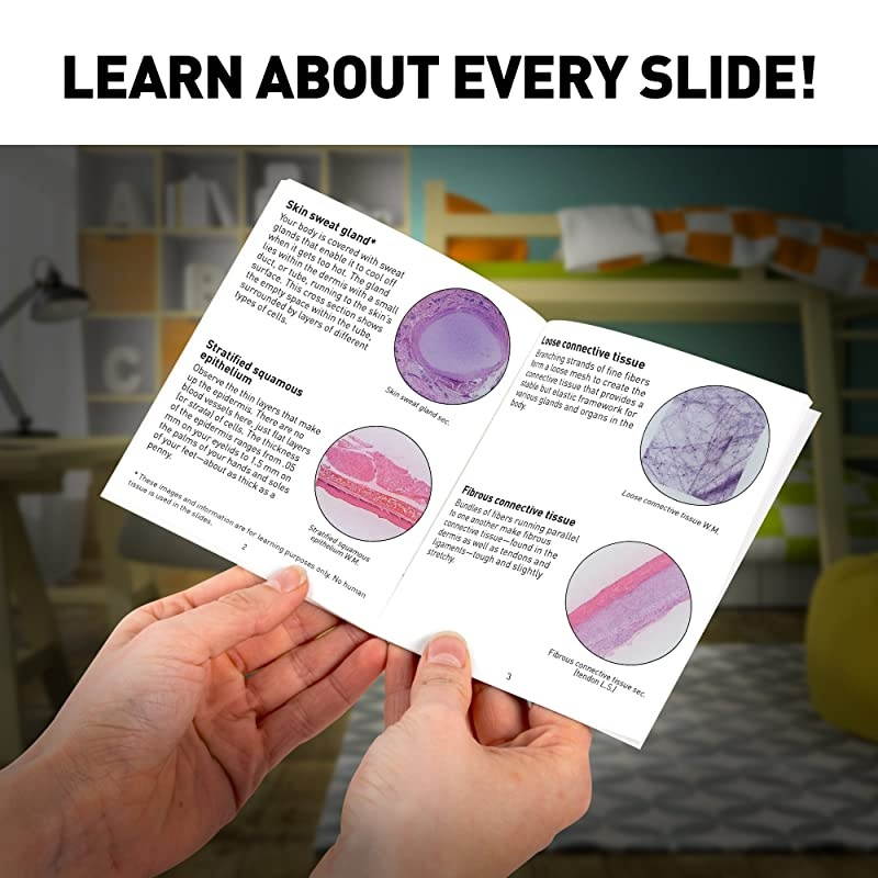 Mega Biology Set Professional Grade Specimens 25 Prepared Microscope Slides Detailed Learning Guide and Storage Box