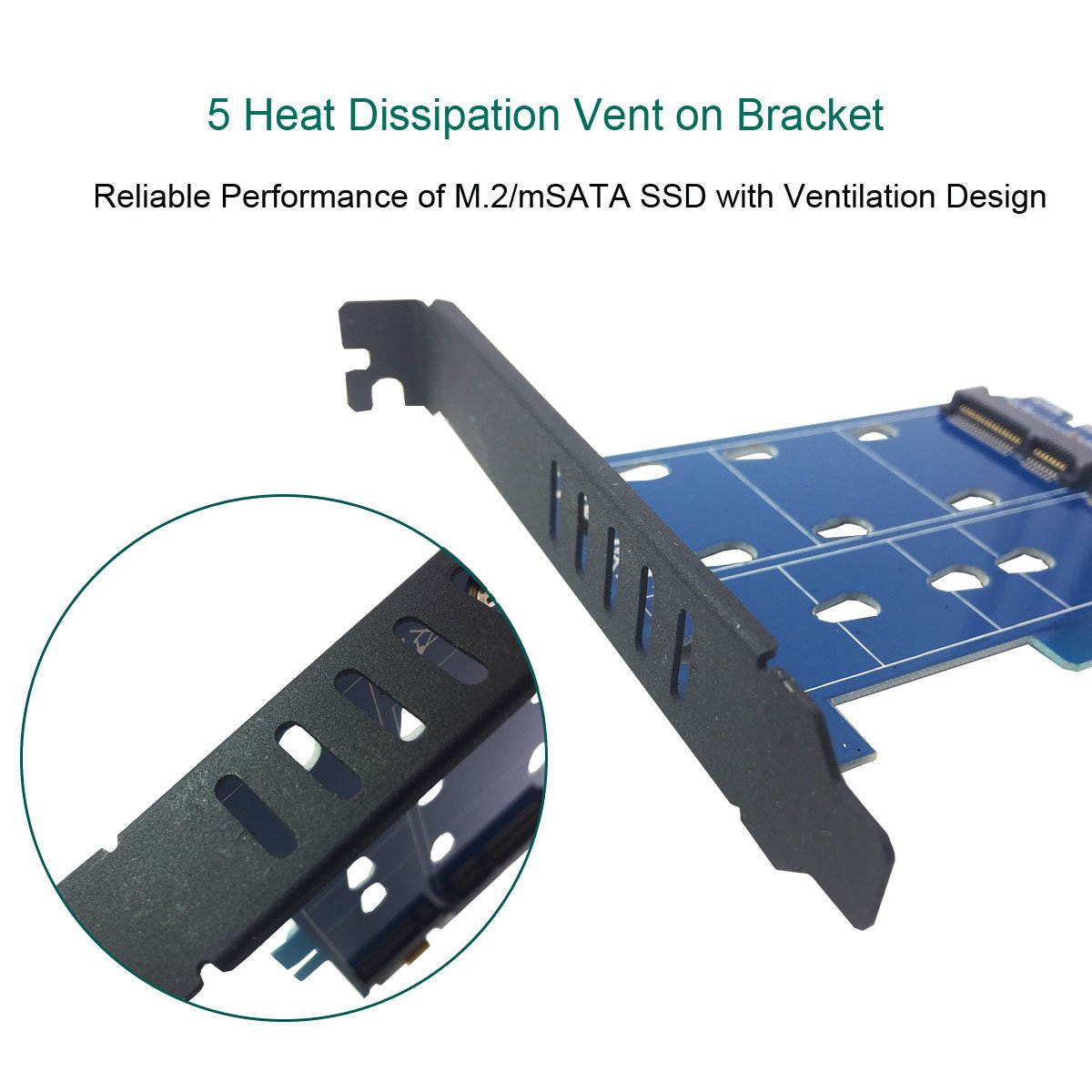 GLOTRENDS PA08 2 in 1 M.2 SATA Adapter Card and mSATA SSD Adapter Card