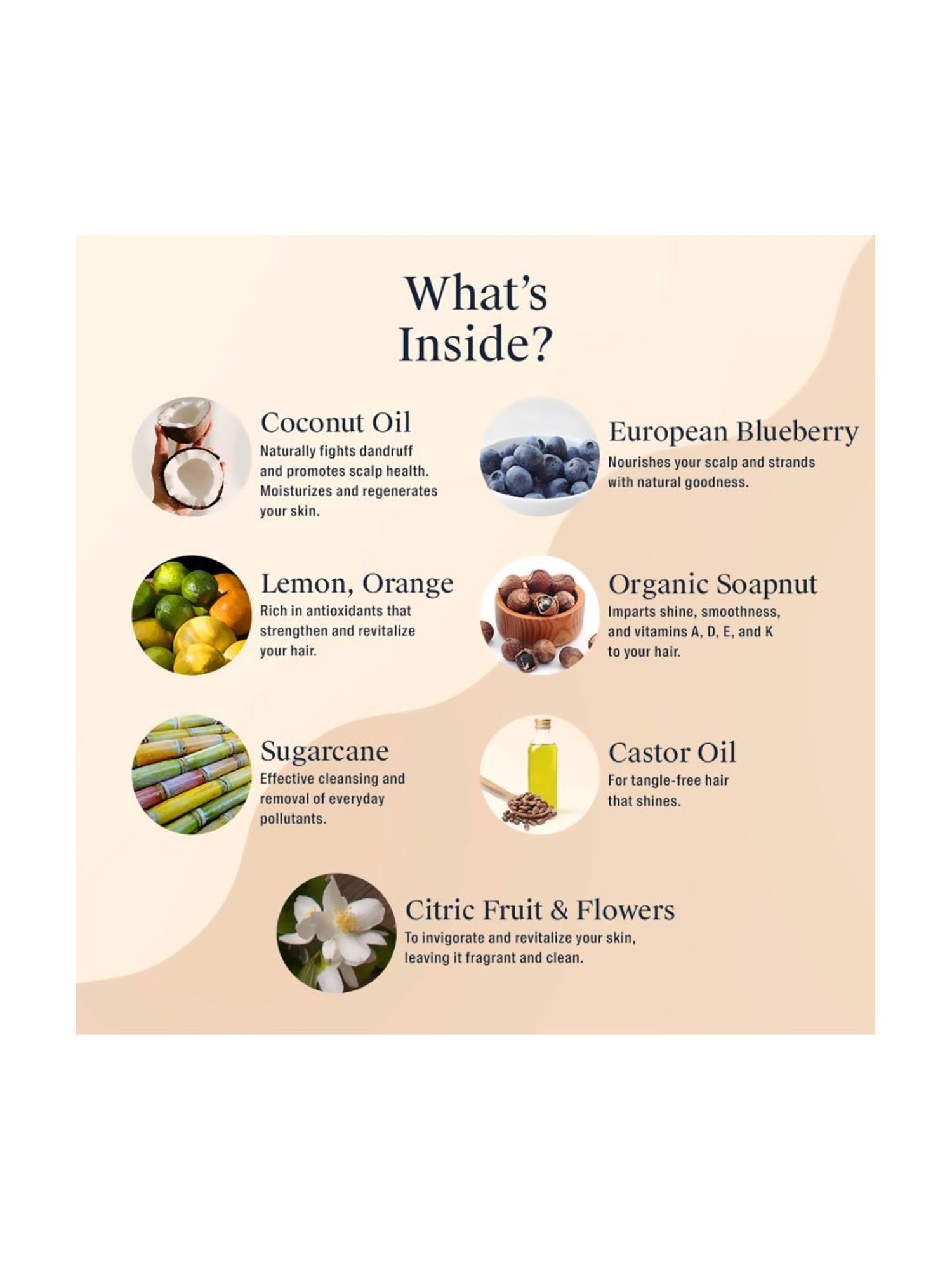 Luxuriate Lime Hand Wash and Tea Tree Face Wash Combo