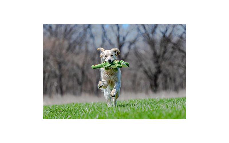 Fluff & Tuff Georgia the Gator, Large Plush Dog Toy with Squeaker