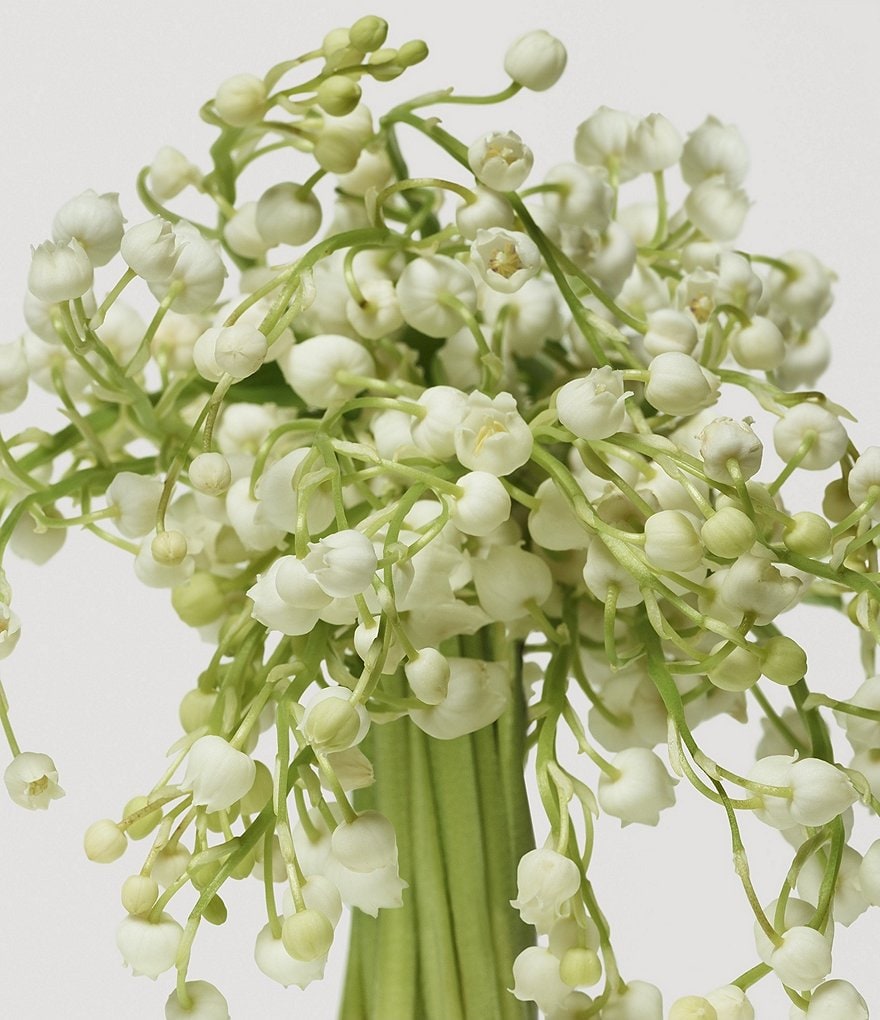 CHANEL ALLURE BODY LOTION