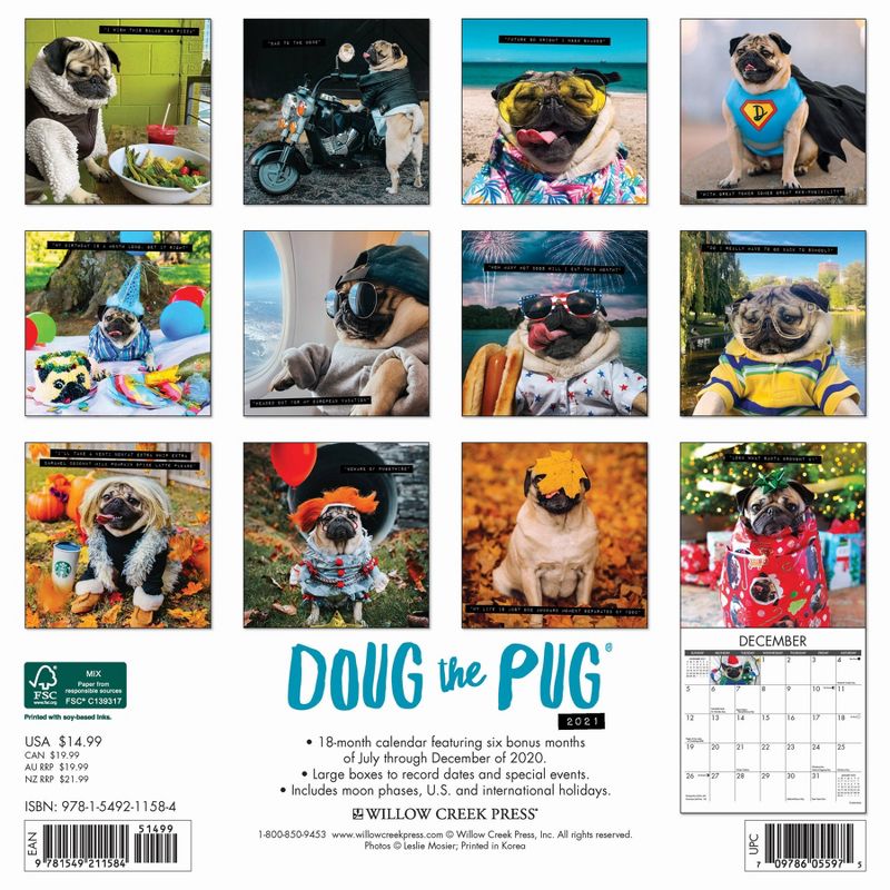2021 Monthly Wall Calendar Doug the Pug - Willow Creek Press