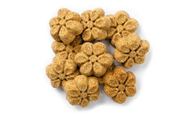 Fruitables Baked Sweet Potato & Pecan Flavor Healthy Low Calorie Baked Dog Treats - 7oz