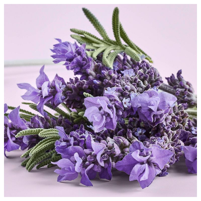 Love Beauty and Planet Lavender Conditioner - 32 fl oz