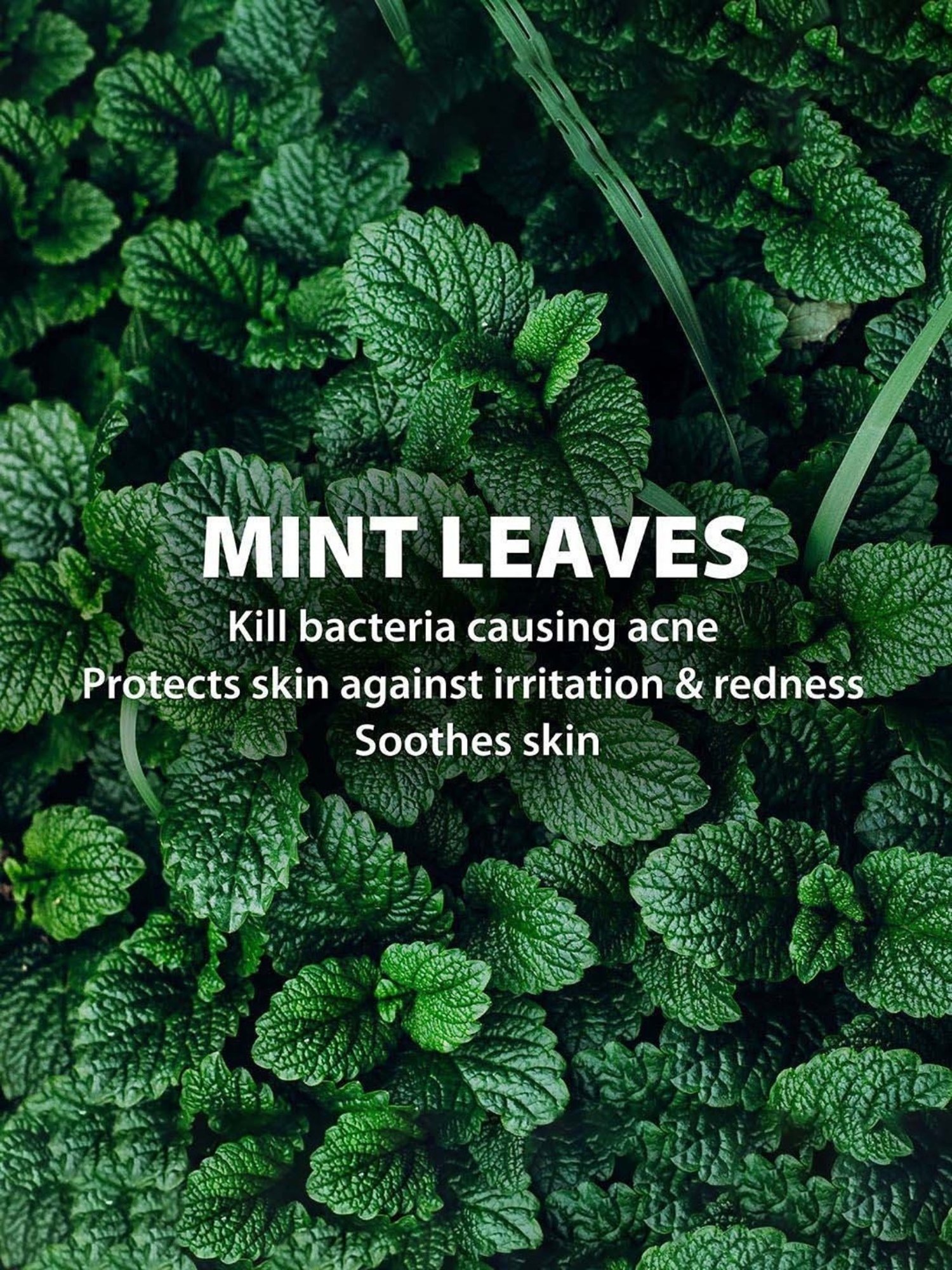 WINSTON Manual Hair Scalp Massager for Hair Growth & Head Massage