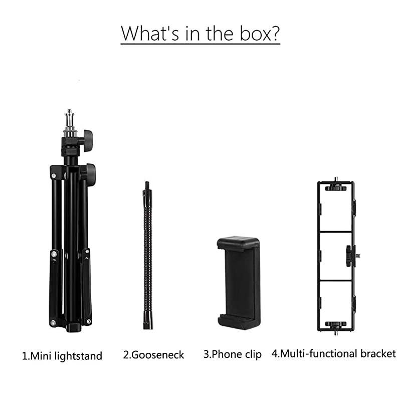 Cell Phone Tripod  19quot Height Adjustable Selfie Stick Tripod Sturdy and Lightweight Smartphone Stand for StreamingVloggingYouTubeVideo ShootingPhotographyCompatible with Phone and Camera