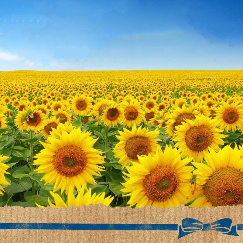 Sweet Baby Ray's Sweet'n Spicy Barbecue Sauce - 28oz