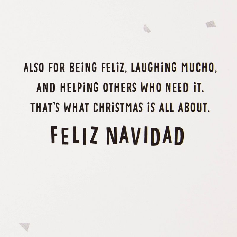 16ct Hallmark Vida Tis The Season Boxed Cards