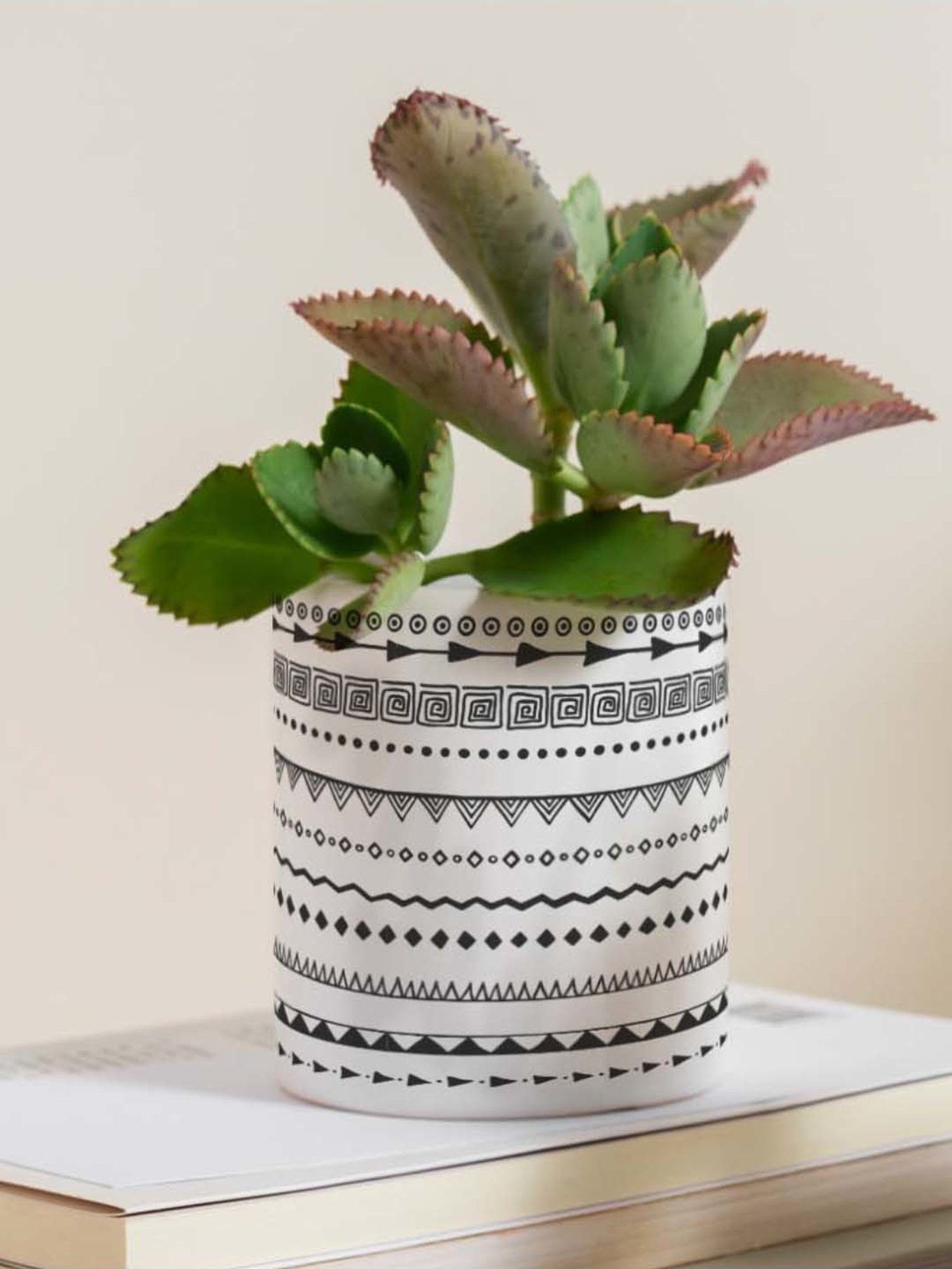 Gathari White & Black Ceramic Desk Planter