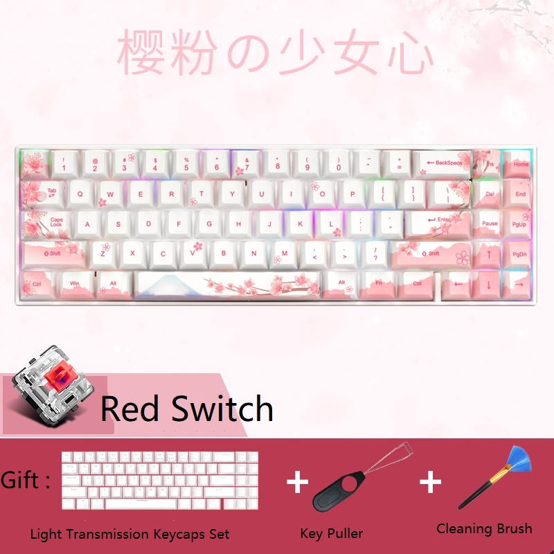 RK71 Mechanical Keyboard RGB Backlit 71 Keys Small Compact Gaming Keyboard, PBT Keycaps Wired/Wireless Bluetooth Mini Keyboard for iOS Android Windows PC and MacOS, Blue Switch( Cherry Blossom)