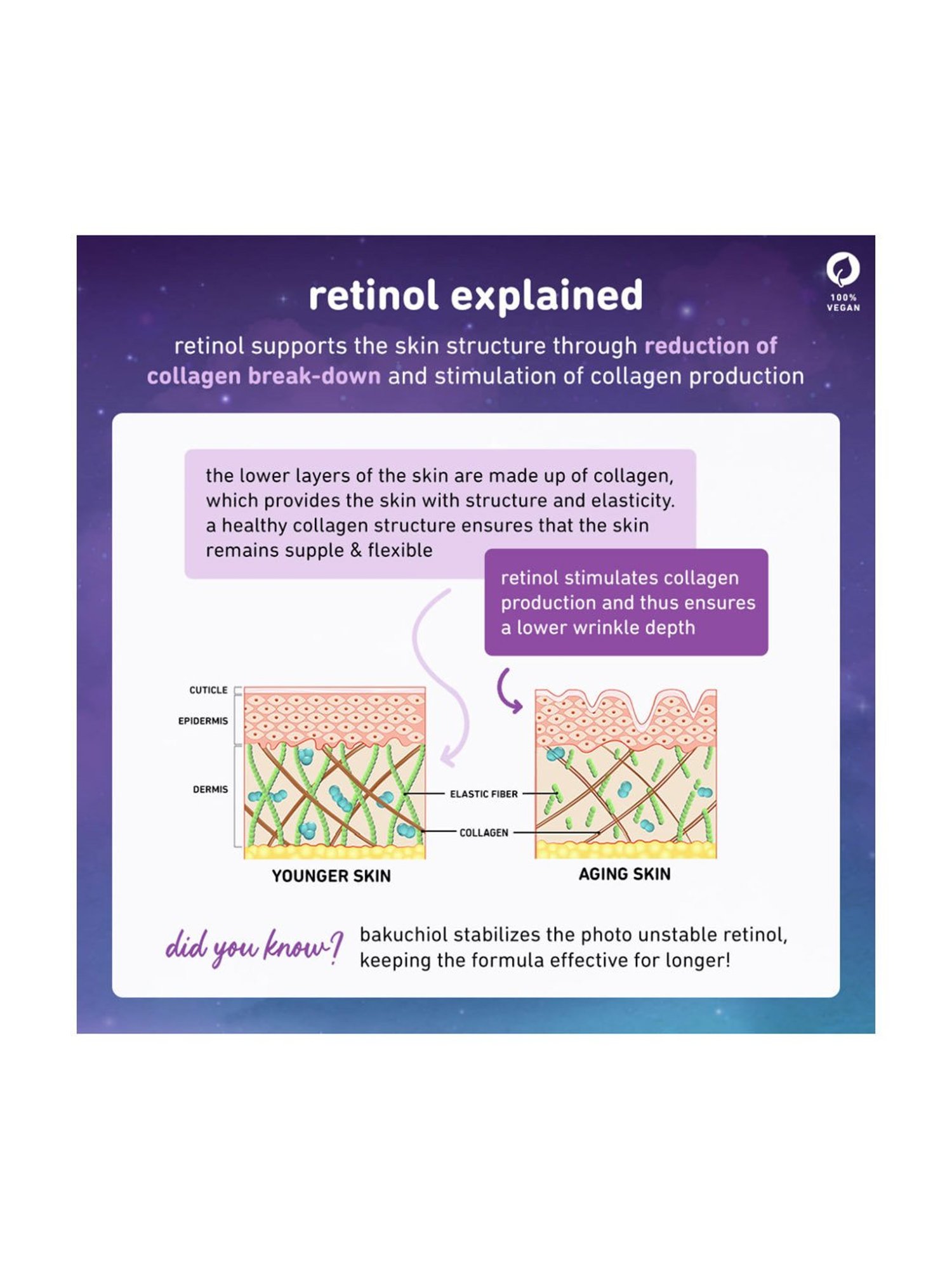 Biotique Wheatgerm Anti-Ageing Night Cream - 50 gm