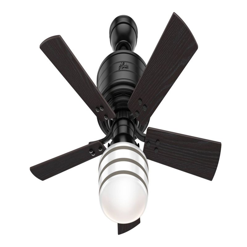 44" Cedar Key Damp Rated Ceiling Fan with Remote Black (Includes LED Light Bulb) - Hunter Fan
