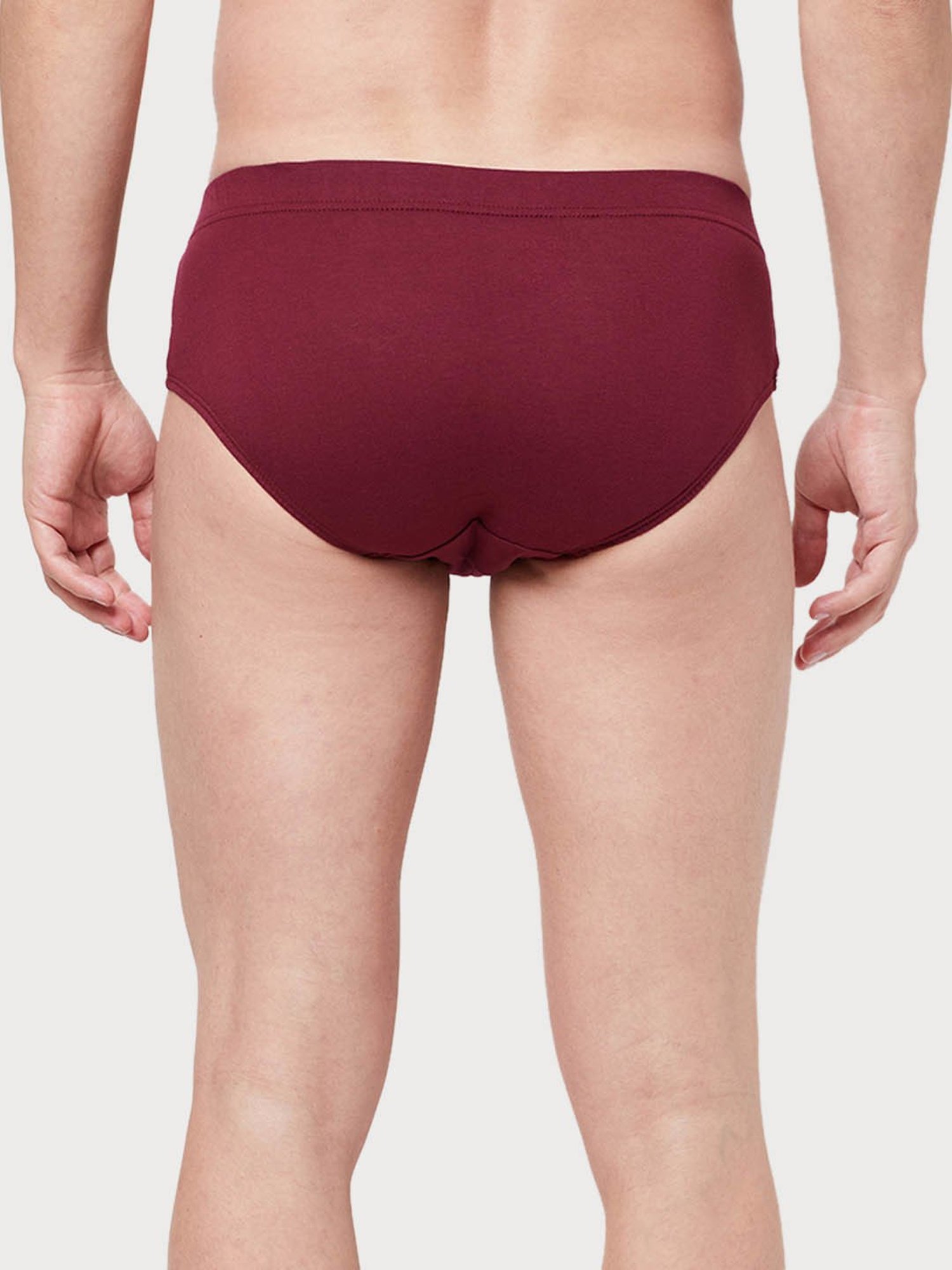 Zoiro Smoked Parl & Burgundy Cotton Regular Fit Briefs - Pack Of 2