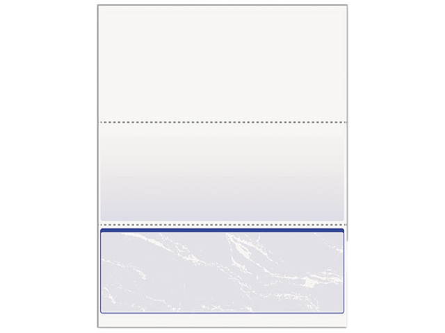 Paris Business Products 04517 DocuGard Standard Security Business Checks