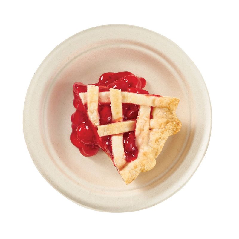 Dixie Everyday Multi-Purpose Cups - 5oz/100ct