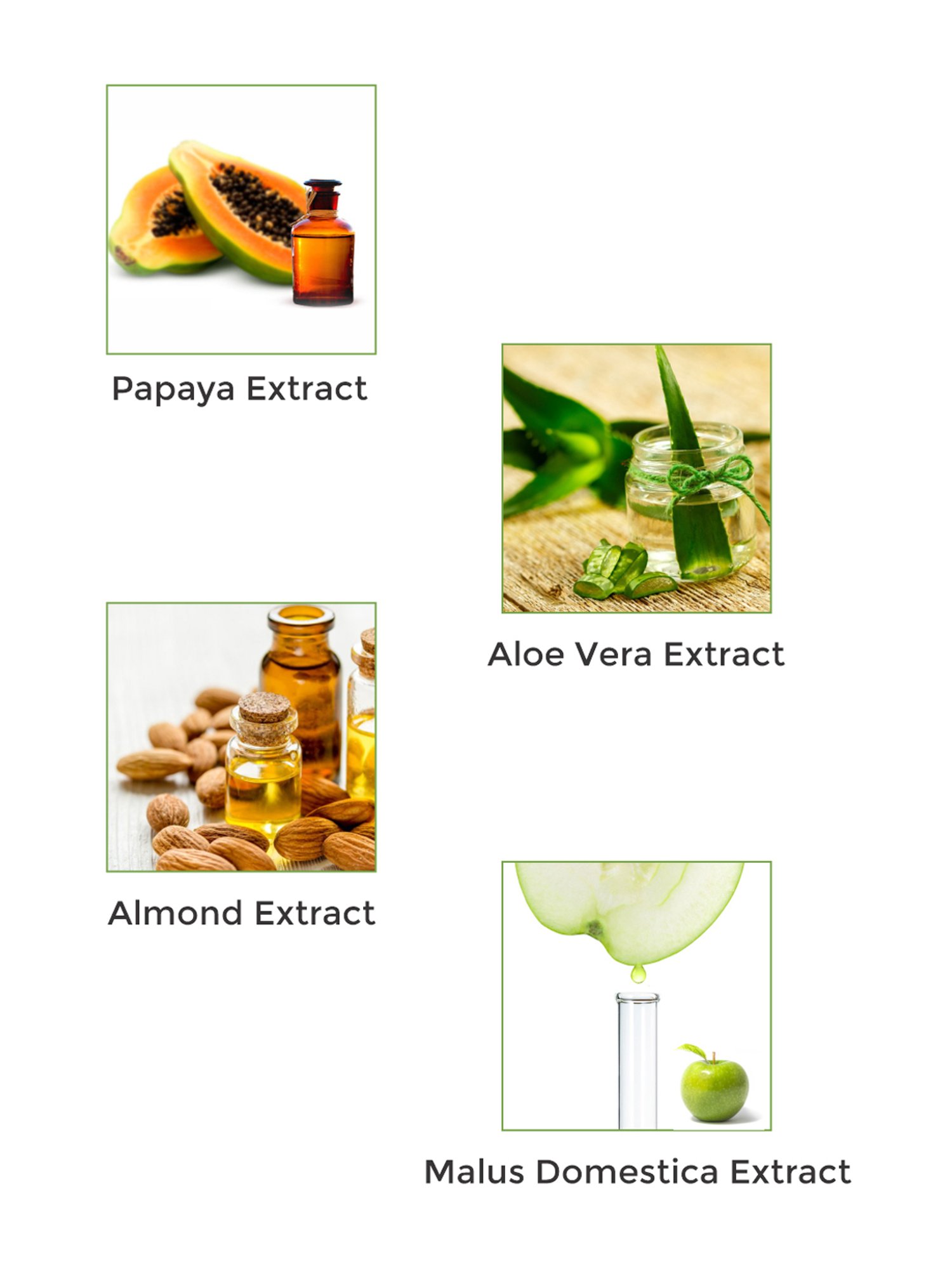 Vegetal Papenglow Face Pack - 75 gm