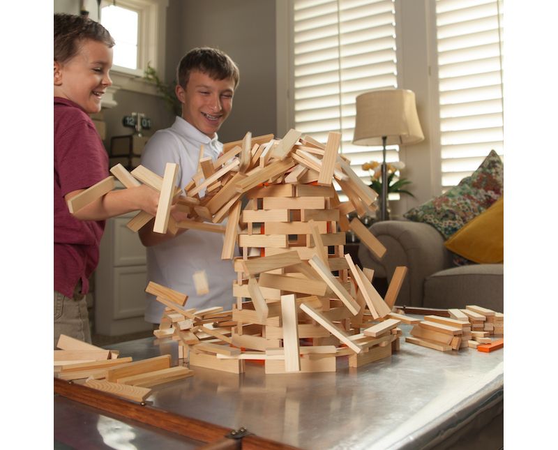  Fat Brain Toys Timber FB208-1 300 Piece Set