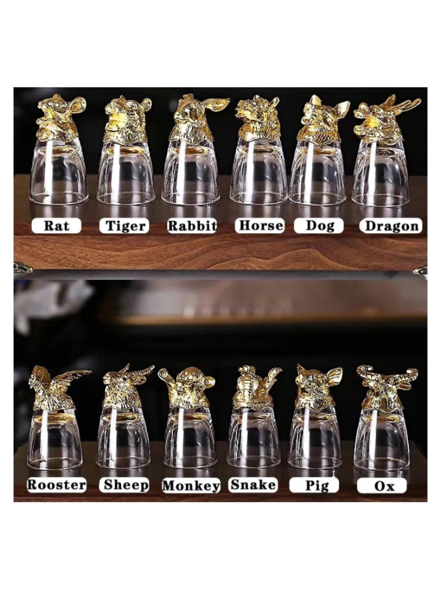 Melbify Zodiac Set Transparent Glass Shot Glasses(30 ml) & Dispenser(250 ml) - Set of 12