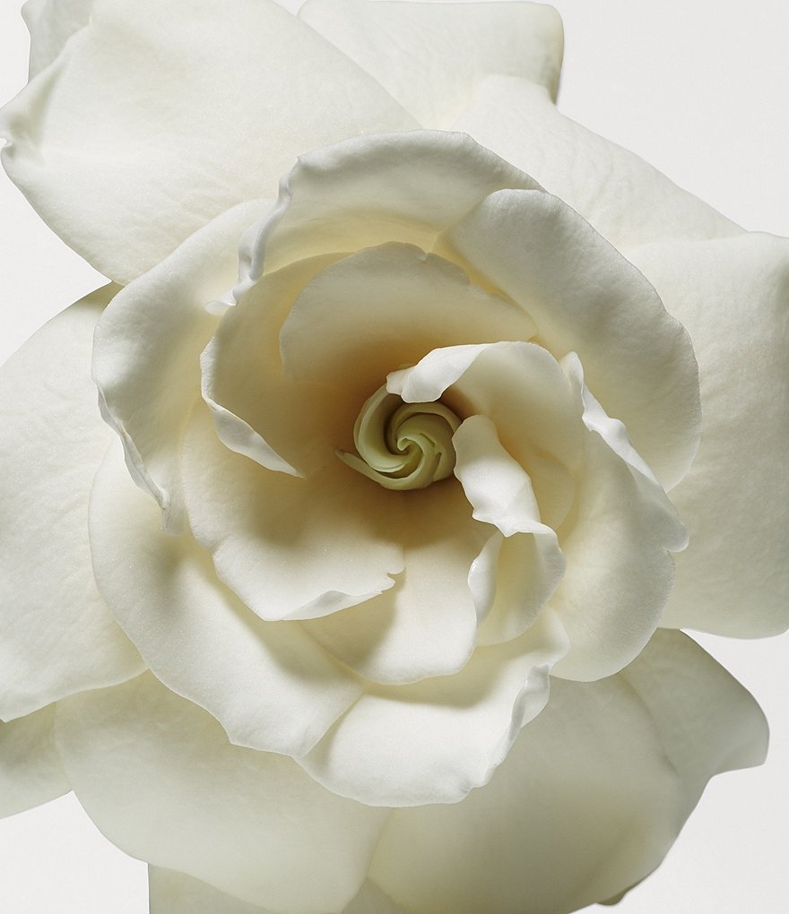 CHANEL ALLURE BODY LOTION