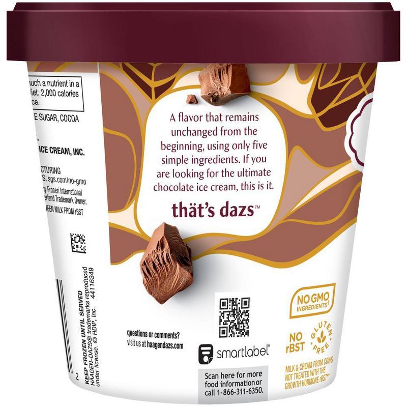 Haagen-Dazs Chocolate Ice Cream - 14oz