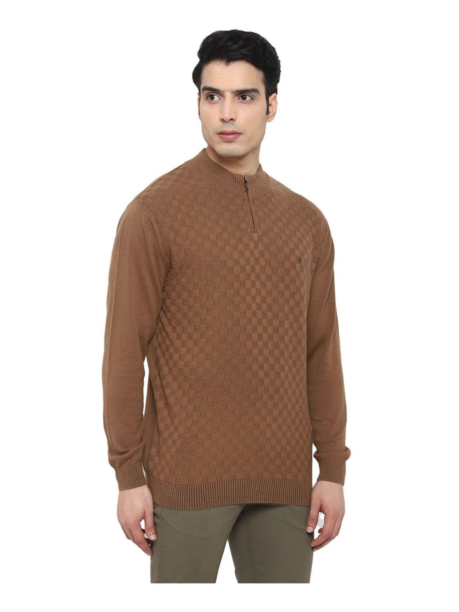 Turtle Brown Regular Fit Pullover