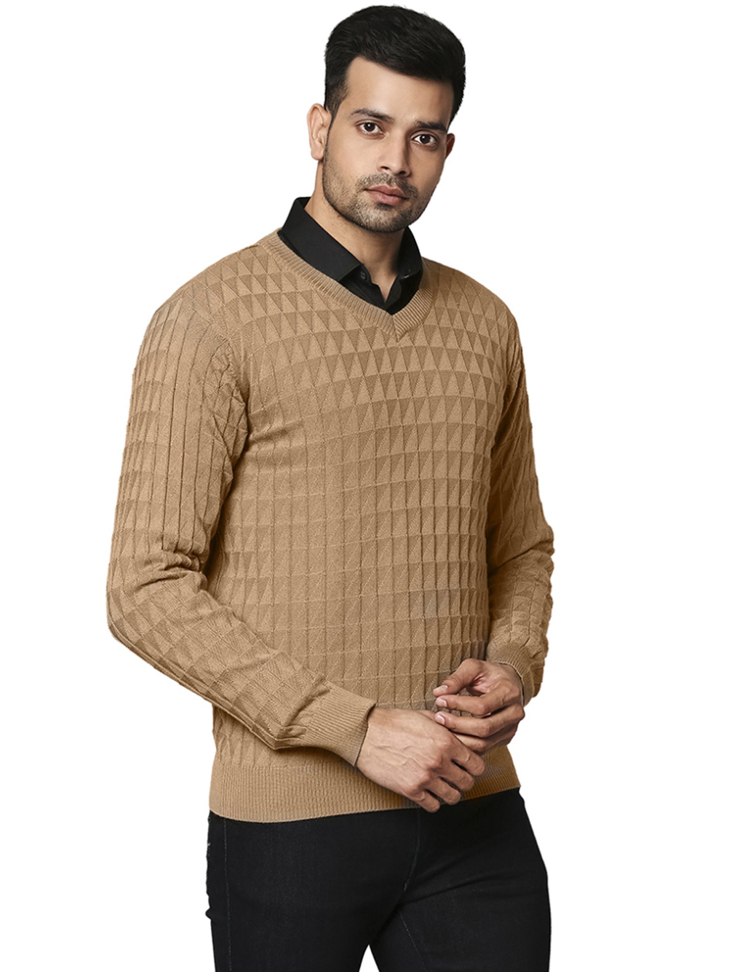Raymond Beige  Regular Fit Texture Sweaters