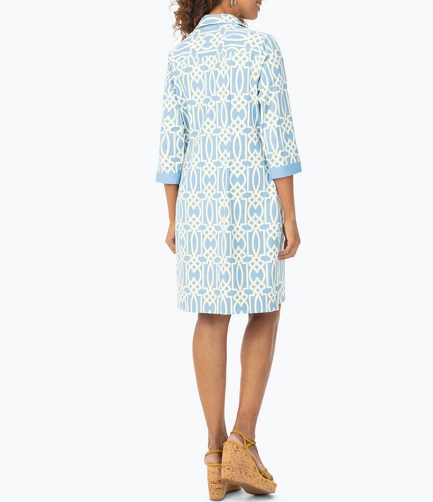 Foxcroft Parisian Geo Print V-Neck Popover Tunic Dress